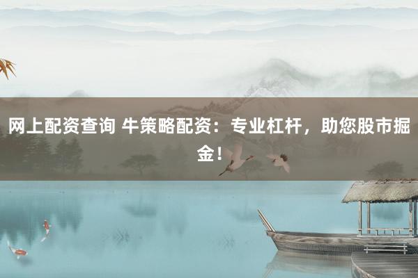 网上配资查询 牛策略配资：专业杠杆，助您股市掘金！