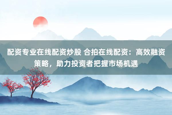 配资专业在线配资炒股 合拍在线配资：高效融资策略，助力投资者把握市场机遇