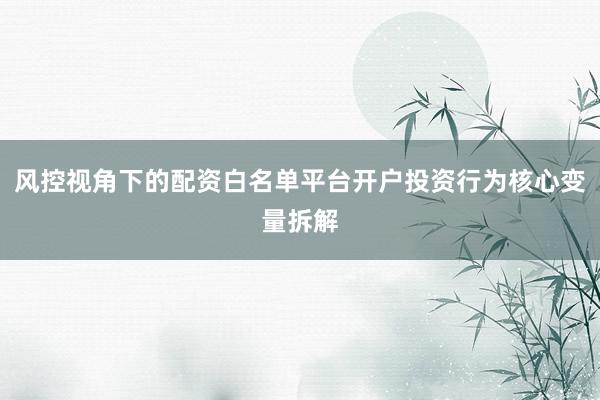 风控视角下的配资白名单平台开户投资行为核心变量拆解