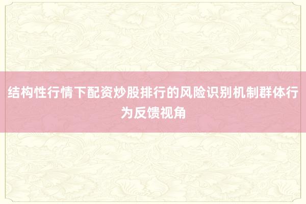 结构性行情下配资炒股排行的风险识别机制群体行为反馈视角