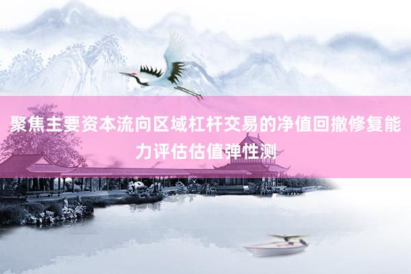 聚焦主要资本流向区域杠杆交易的净值回撤修复能力评估估值弹性测