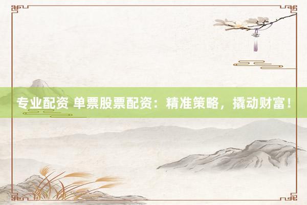 专业配资 单票股票配资：精准策略，撬动财富！