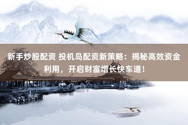 新手炒股配资 投机岛配资新策略：揭秘高效资金利用，开启财富增长快车道！